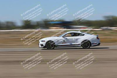 media/Oct-04-2025-OnGrid (Sat) [[44bd565ffa]]/Purple Group/Grapevine/